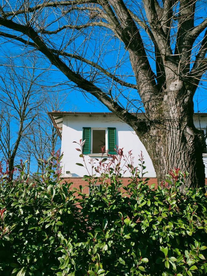 Il Tiglio B&B Dozza Exterior photo